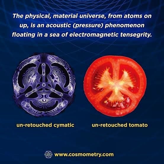 Cymatic NH